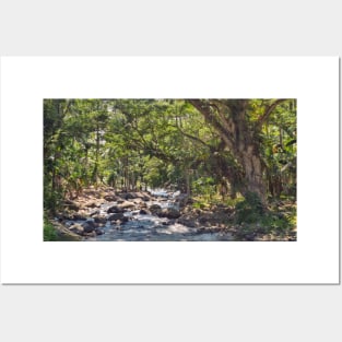 Mountain Stream, Jasaan, Misamis Oriental, Mindanao, Philippines Posters and Art